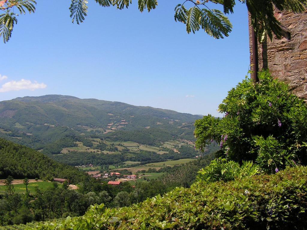 Fattoria Il Lago Dicomano Rum bild