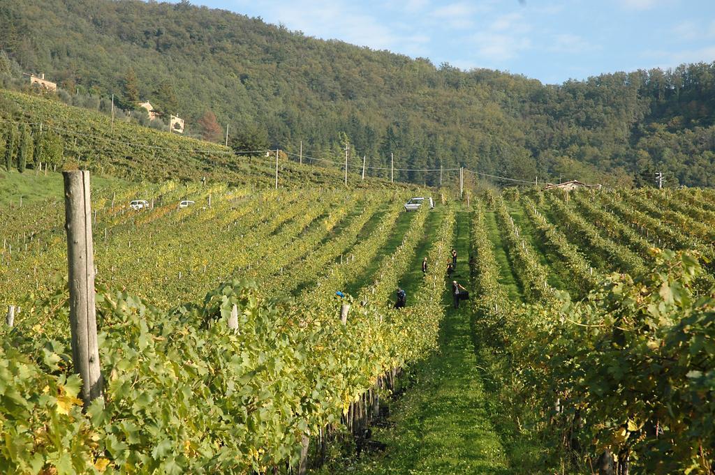 Fattoria Il Lago Dicomano Exteriör bild