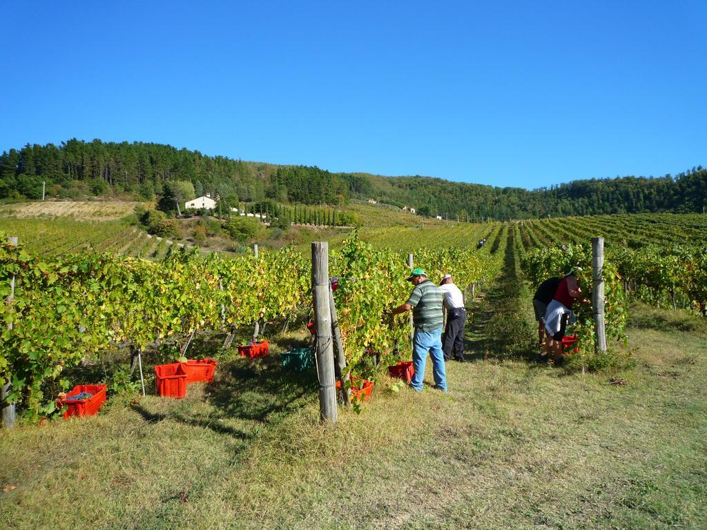 Fattoria Il Lago Dicomano Exteriör bild